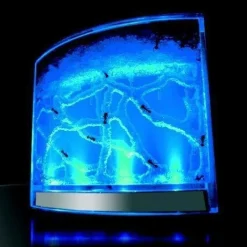 Akwarium dla mrówek podświetlane LED