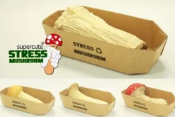 Antystresowy grzyb - ENOKI