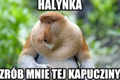Maska