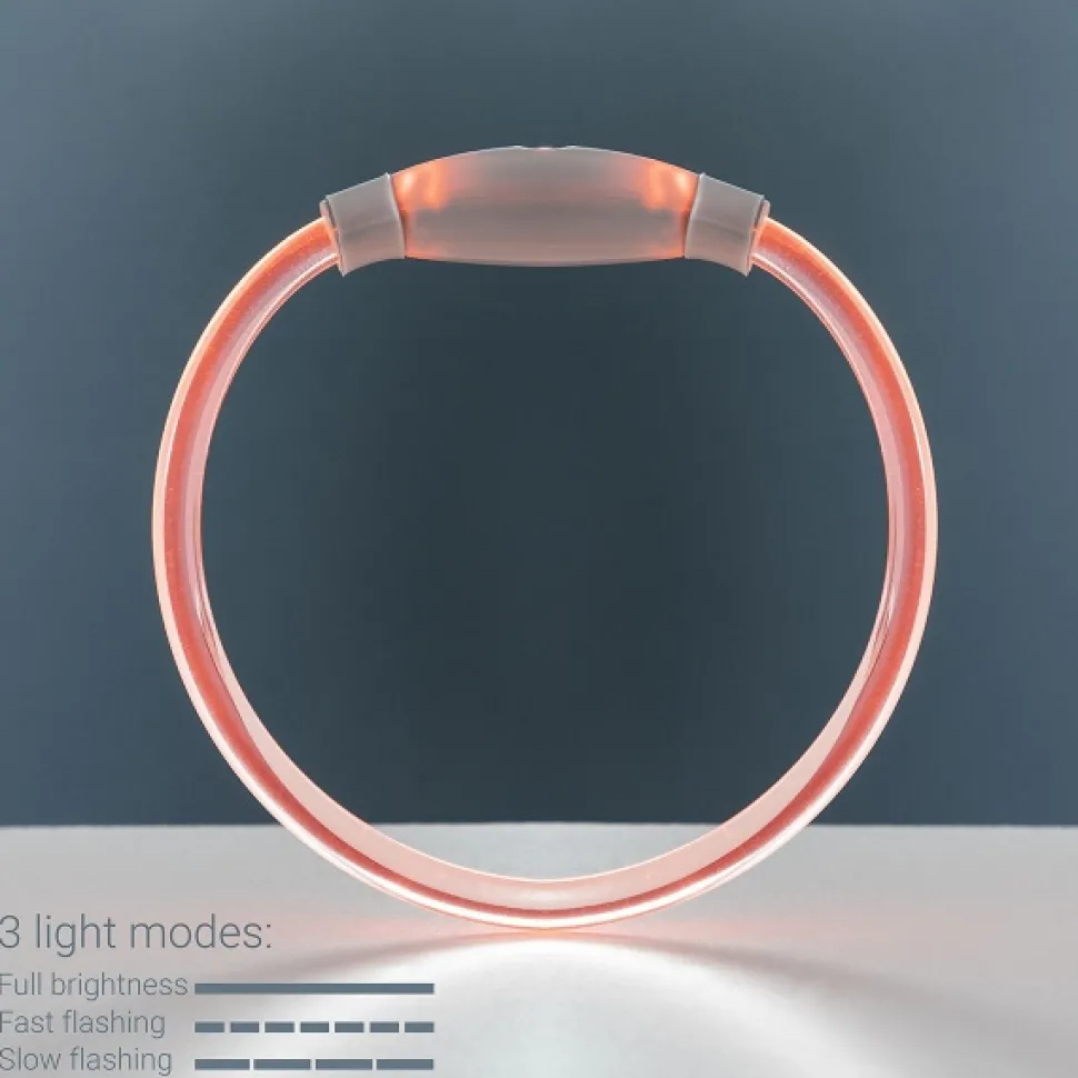 Świecąca obroża LED dla zwierząt InnovaGoods